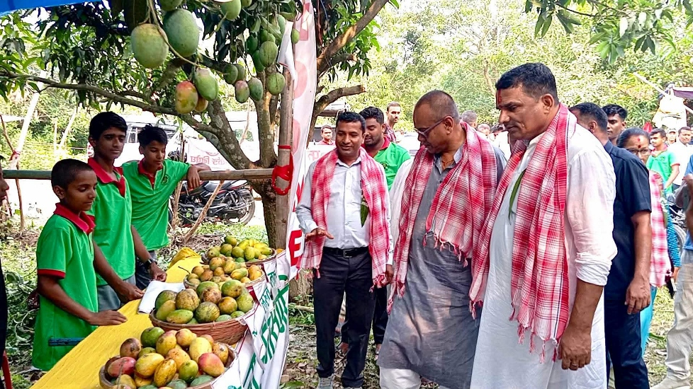 आँप महोत्सवमा किसान उत्साहित
