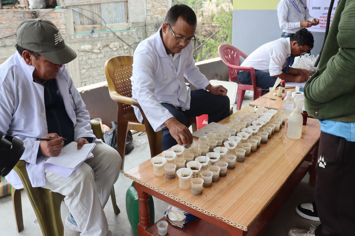माटोको स्तर असन्तुलनको असर फलफूलमा