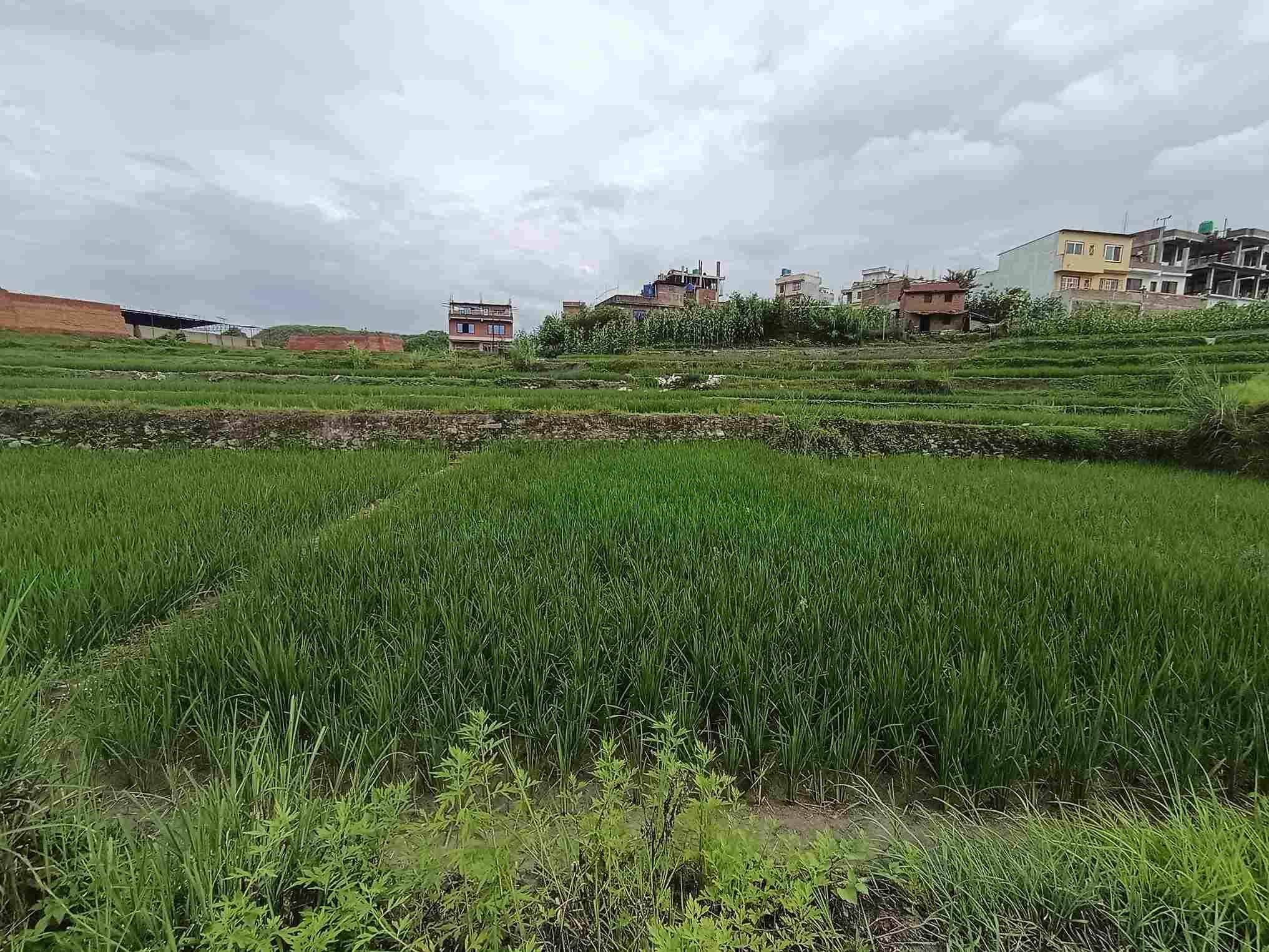 बढेन घरजग्गा कारोबार