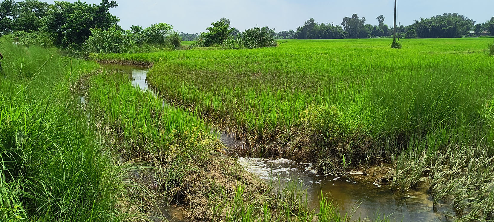 खाँडो र जिता नदीको बाँधले १५ सय बिघामा सिँचाइ
