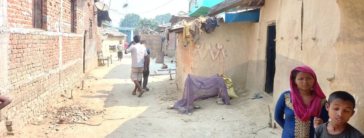 निर्वाचनले छोएन चितवनको माझी, मुसहर बस्ती